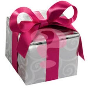 SALE11+ Items MYSTERY MAKEUP BEAUTY BAG